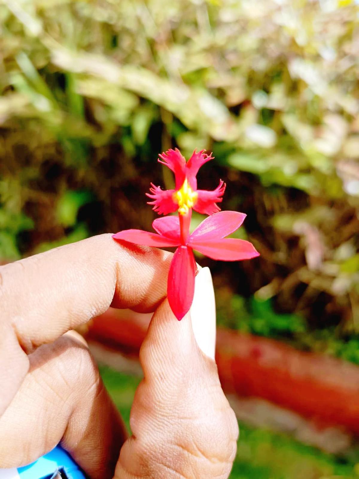Kodai Riya Paradise Kodaikanal Ngoại thất bức ảnh