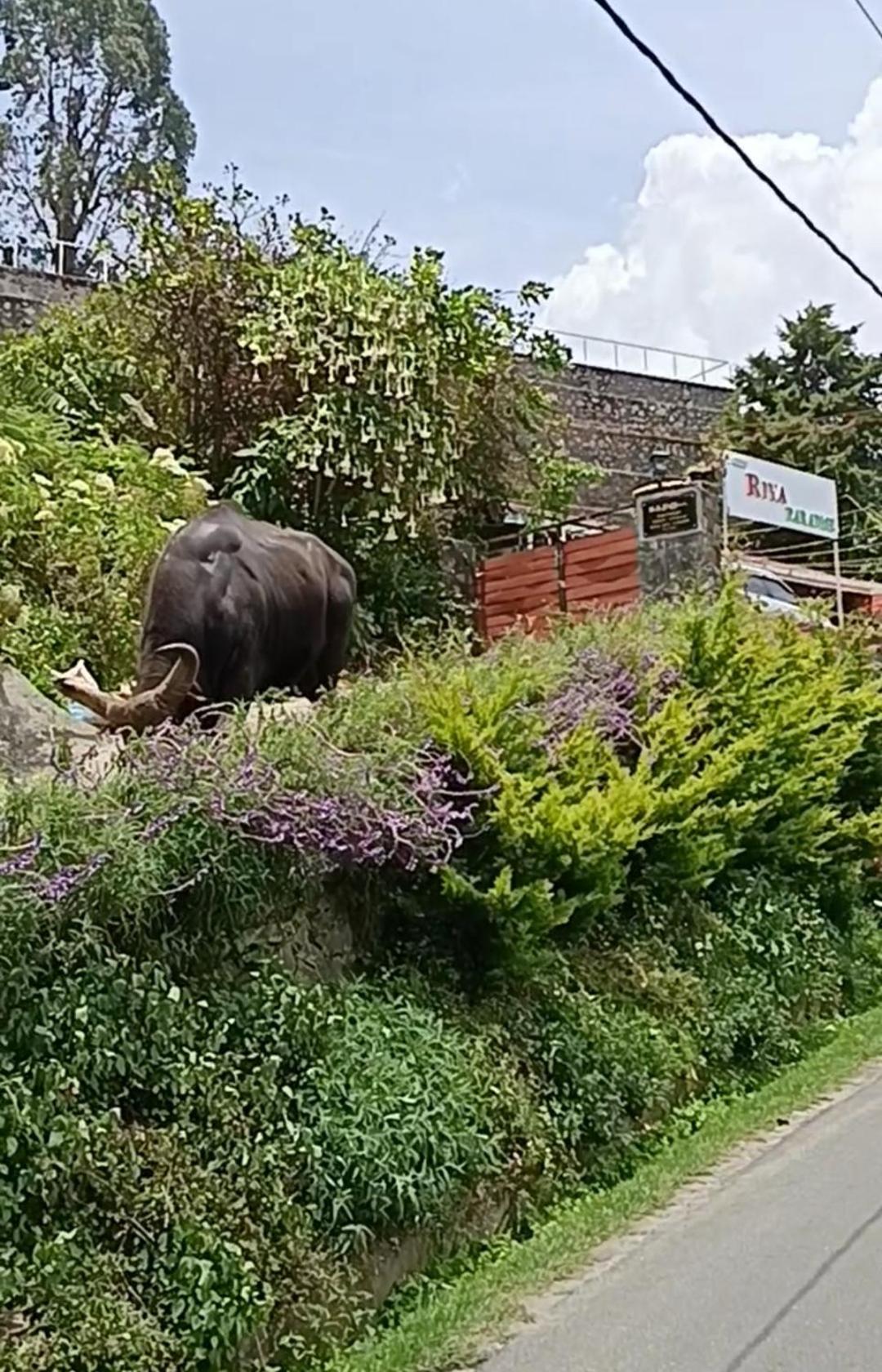 Kodai Riya Paradise Kodaikanal Ngoại thất bức ảnh