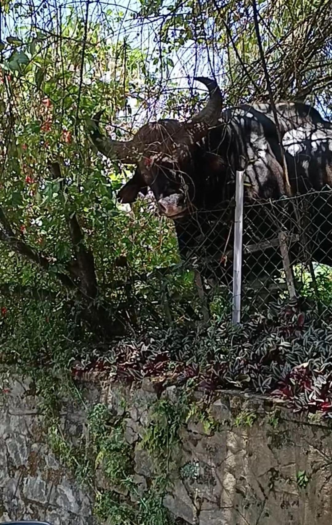 Kodai Riya Paradise Kodaikanal Ngoại thất bức ảnh